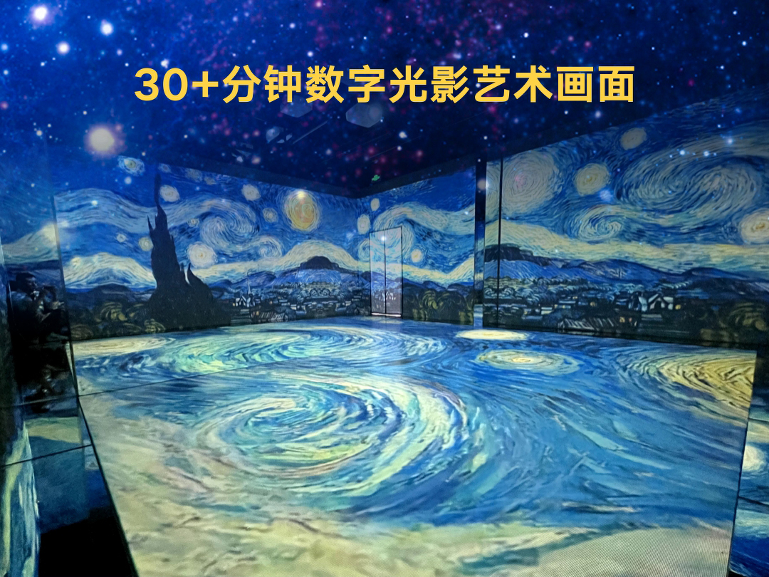 画游梵高-全球光影艺术大展